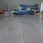 나의 동거묘 <b>도칠</b>이와 고양이 풀