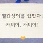 [댓글부탁해] 아싸 <b>철갑</b>상어잡음