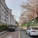 [드루와] 길<b>가다</b> 찍음