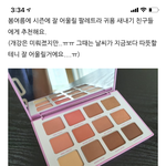 <b>섀도우</b> 팔레트 추반좀