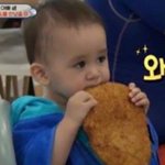 <b>동물</b> vs 아기 누가더 귀엽냐 추반 ㄱ