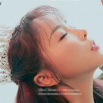 그래도 봄은 오고 가수들은 <b>컴백</b>한다!