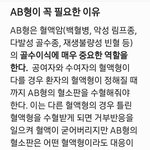 전혈은 O형이 필요하지만 이 땐 <b>AB</b>형만 꼭 필요.