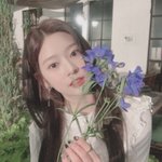 아이즈원 사진 <b>필터</b>