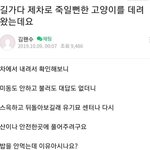 짤 존ㄴ라웃김ㅠㅡㅡㅠㅠㅠㅠ