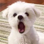 [드루와] 자타공인 찐<b>Intj</b> 질문 받음