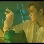 [NCT] ㅅㄷ)sc선배그룹 노래 듣는데