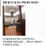 야 이짤