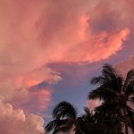 [드루와] 참미각이 추천하는 포타 대작들2