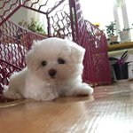 어어아ㅏ아아앙 볼따구 <b>냠냠</b>