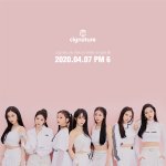 시그니처 컨셉 포토 떴다