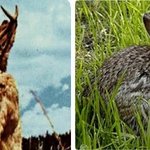 [댓글부탁해] 온라인 학교 너무하다.