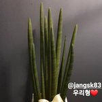[EXO] 열스토리