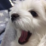 입<b>냄새</b> 맡을<b>사람</b> 구함