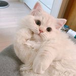 나 <b>입시</b>미술 하는데 등급 올릴까 말까ㅜㅜ