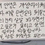 [댓글부탁해] 팩 추천해줘