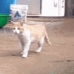 [댓글부탁해] <b>EBS</b>온라인클래스 해본판녀들 들어와줘 ㅠㅠㅠㅠㅠㅠㅠㅠㅠ