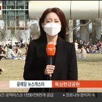 [댓글부탁해] 벚꽃을 보러가는 너희에게