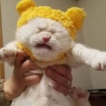 얘들아 온라인개학하면 <b>급식</b>은 어캄?