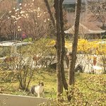 [ㅈㄱㄴ] 오늘은 운좋은날임