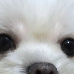 [드루와] 야 긴급 9월학기제 <b>시행</b>할수있다 방금 뉴스뜸.