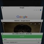 [19] 사파리 탭 <b>개수</b>500갠데 정리하기개귀찮음