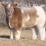 얘들아 나 진짜 고소당해...?