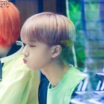 [NCT] 타돌 홈마분이 찍어주신 <b>지송</b>이