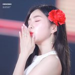 와 뷔 <b>홈마</b>가 찍은 아이린