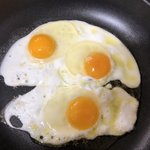 [댓글부탁해] 머임 레나 유튜브 다시함??