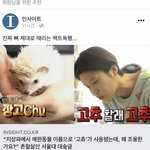 [댓글부탁해] 너네 장도연 이거 어떻게 생각해