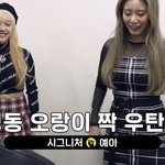 펀치 대결하는 여자 아이돌들의 파이터 <b>네임</b>