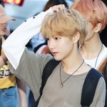 [NCT] 나 타팬인데