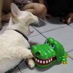 고추 바사삭 치킨 <b>뭔</b> <b>맛</b>인지 찾아냄