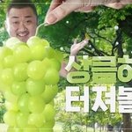 뿌링클 ㅈㄴ 개물려 <b>염병</b>