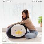 [댓글부탁해] <b>이</b> <b>쿠션</b> 살말 추반