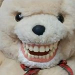 임신<b>확률</b>