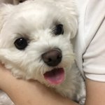<b>강지</b>