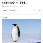 모르는사람이 친해지자고 하면 많이 <b>당황</b>스러움?