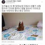 핱시3 보는 사람 들우와바ㅠ