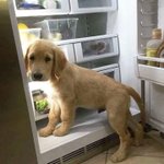 [드루와] 우울한 사람들 있어? 노래 추천해줌