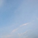 [댓글부탁해] <b>호주</b>에서 유학중인데 댓글좀 빨리