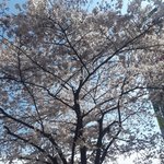 [NCT] 쮜송이 모음