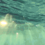 [NCT] 이번엔 러러 모음