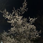 나 06년생 중2인데