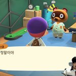 [드루와] 선바 <b>동숲</b> 존잼