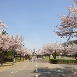 [드루와] <b>공원산책</b>