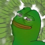 <b>박서준</b>이랑 김다미 공통점 있음...?
