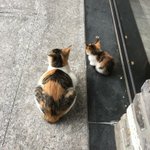 <b>오버</b>워치 캐릭터 추천좀