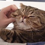 [댓글부탁해] <b>ISFP</b> 잇프피들 모여라